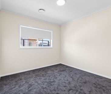 Modern Family Luxury Backing Nature - Photo 5