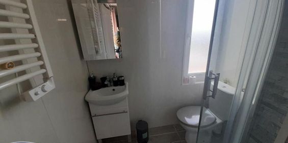 Location Appartement 1 pièce 21m² NAZELLES NEGRON 37530 - Photo 3