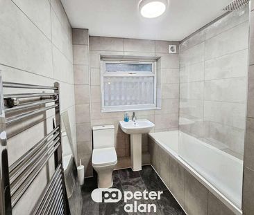 Jones Terrace, Swansea, SA1 - Photo 6