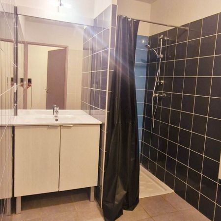 Location Appartement 1 pièce 31m² - Photo 3