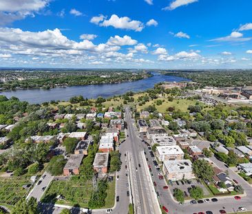 1020 Rue de Salaberry, Montréal, QC - Photo 4