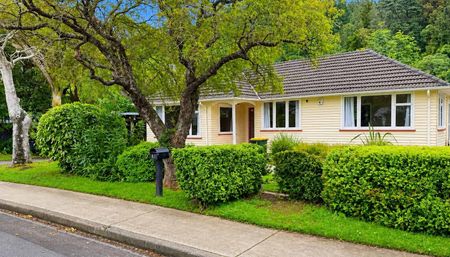 81 OWEN STREET - Photo 4