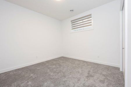 20401 45 Street SE (Basement) – SETON - Photo 4