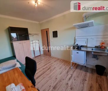 Pronájem pokoje 1+0/zahrada, 12 m - Photo 2