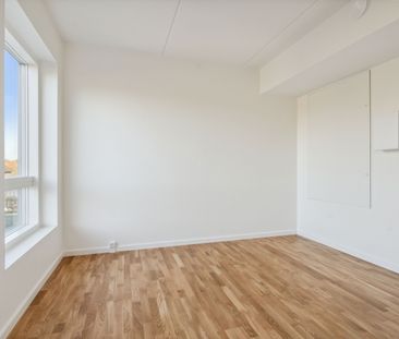 Hollænderen 10, 4. TV - Photo 2