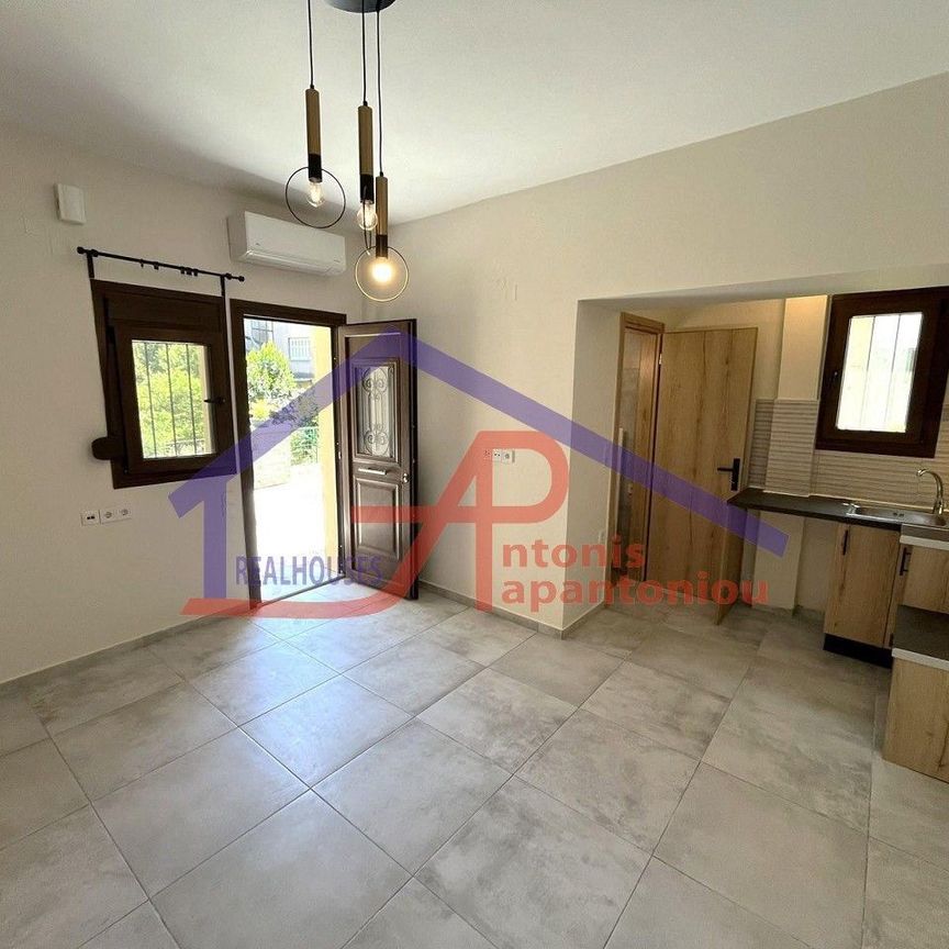 Διαμέρισμα για ενοικίαση Πλάτανος (Ιωάννινα) - Φωτογραφία 1