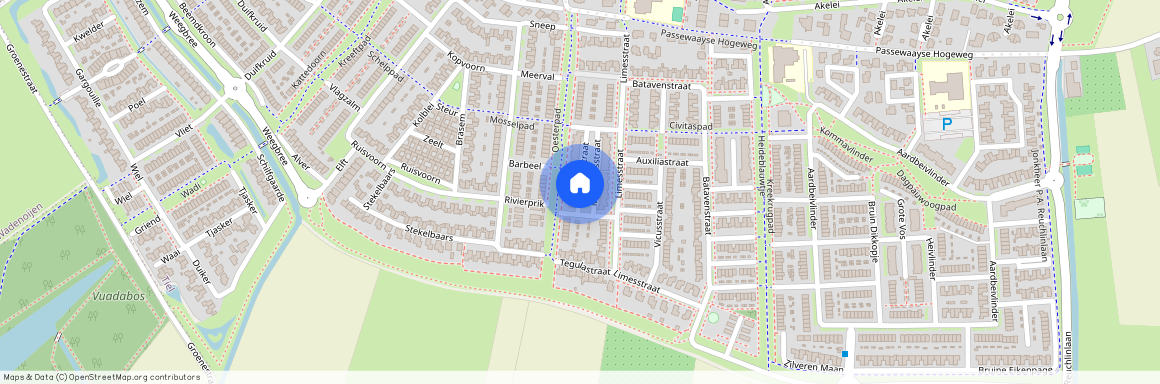 Passewaaij-Zuid-Oost, 4007 LJ, Minervastraat, Tiel