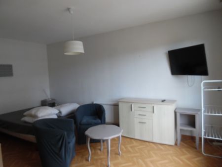 Appartement 28 m² - 1 pièce - Amélie-Les-Bains-Palalda (66110) - Photo 3