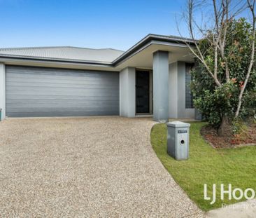 Great Location - Two Living Zones - Freshly Painted & New Carpets - Photo 4