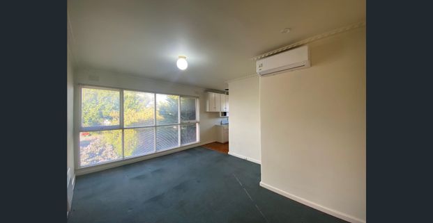 Spacious 1 Bedroom Apartment in Great Location - Photo 1