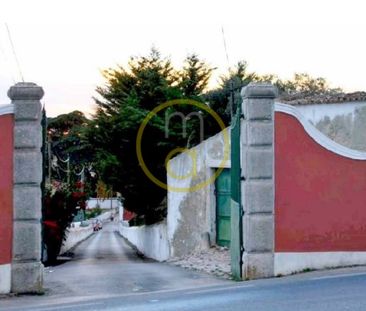 SESIMBRA near SERRA ARRÁBIDA CHARMING villa. Furnished. - Photo 1