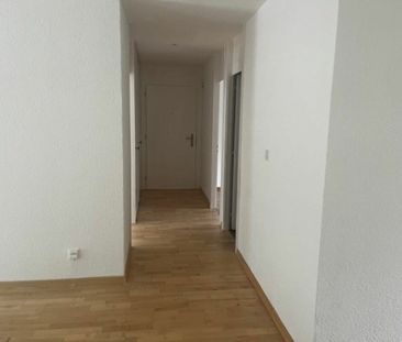 3.5 Room Apartment - Photo 4