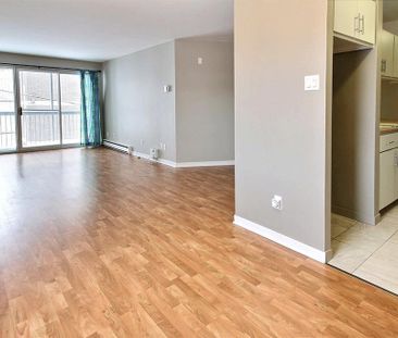 4 1/2 Ensoleillé, Paisible, Rénové (LORETTEVILLE) - Photo 1