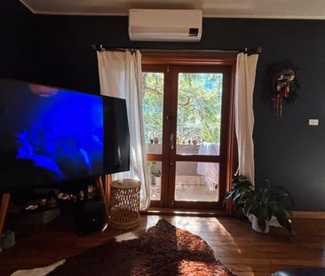 Surry Hills - Photo 1