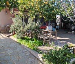 Μονοκατοικία για ενοικίαση - Κορωπί, - Photo 5