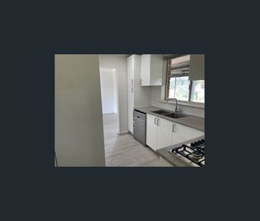 Renovated Home in Prime Central Location - Photo 5