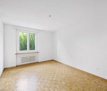 Bright, charming apartment / apartment lumineux et charmente - Foto 5