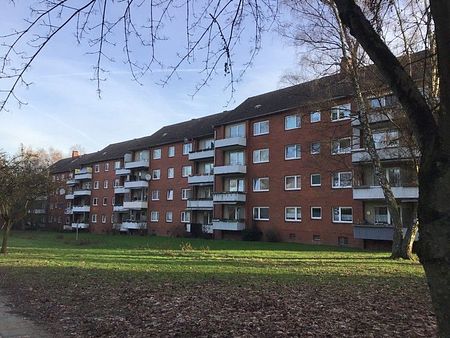 2-Zimmer-Wohnung mit Balkon, frisch saniert - Foto 4