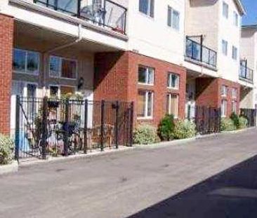 2 Bed + Den Condo For Rent In Westmount - Photo 6