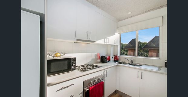 Oversized one bedroom apartment in the heart of Freshwater - Photo 1