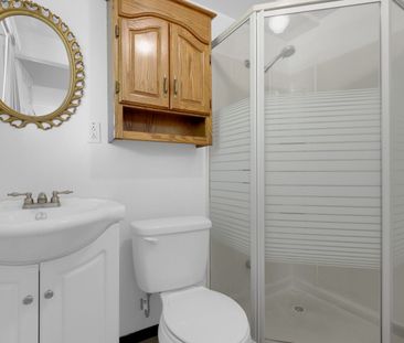 For Lease - 431 Carruthers Avenue Unit# Bsmt, Newmarket, Ontario - Photo 3