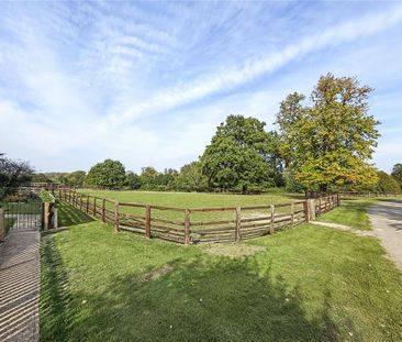 3 bedroom house to rent - Photo 6