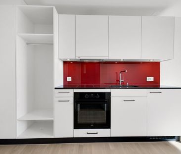 Kleine, urbane Wohnung im Saurer-Werk 2 - Foto 1