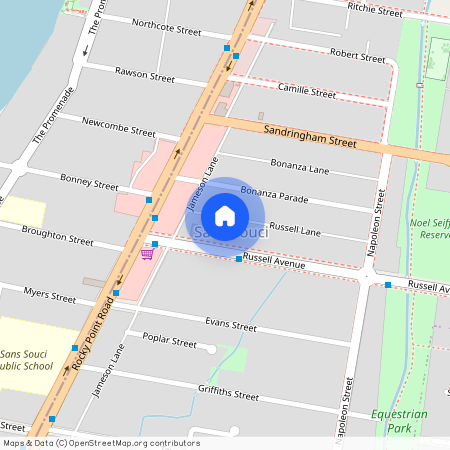 25A Russell Lane, NSW 2219, Sans Souci