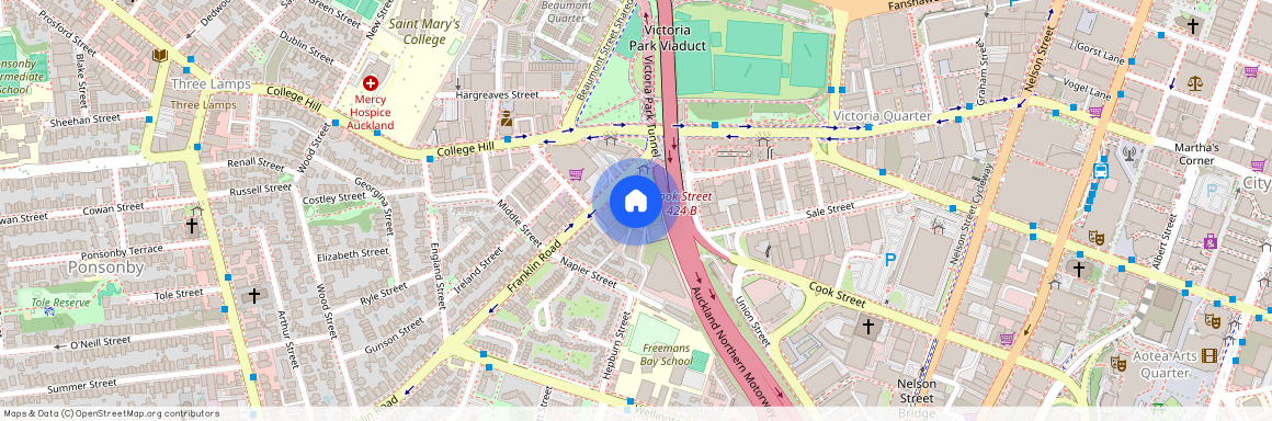 4F Wilkins Street, Ponsonby, Central Auckland