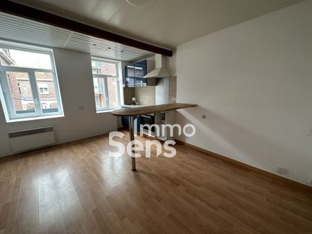 Location appartement - Lille SAINT MAURICE /PELLEVOISIN - Photo 3