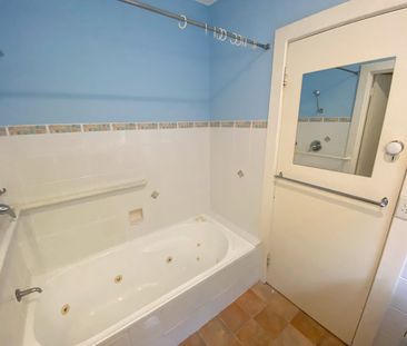 Sun Filled Delight - Photo 2