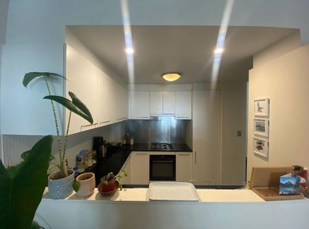 Surry Hills - Photo 5