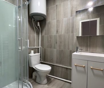 Location Appartement 1 pièce 26m² VILLEFRANCHE SUR SAONE 69400 - Photo 4