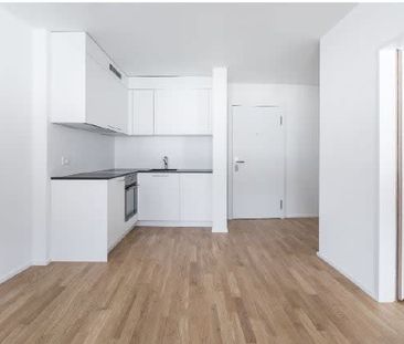 2.5 Zimmer, 40 m², 1. Stock - Photo 1