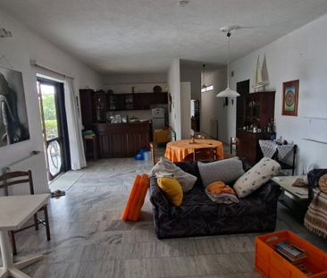 Μονοκατοικία για ενοικίαση Παραλία Αυλίδας (Αυλίδα) - Φωτογραφία 1