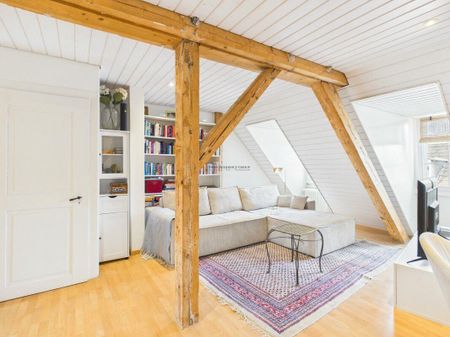Über den Dächern vom Zürcher Niederdörfli - Photo 3