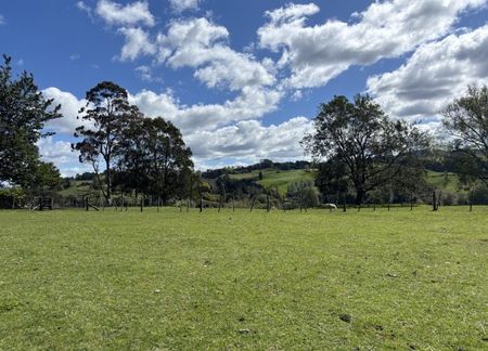 Rural Birdsong - Photo 5