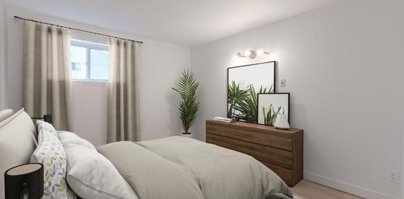 Appartement 3 ½ à louer Lévis janvier 2026 - Photo 2