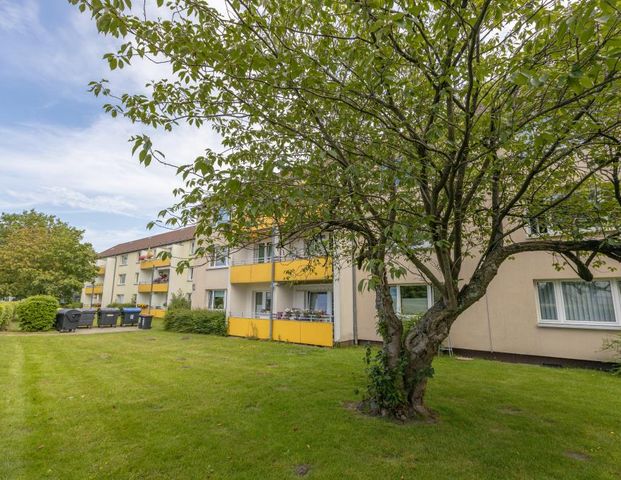 Demnächst frei! 3-Zimmer-Wohnung in Flensburg Weiche - Photo 1