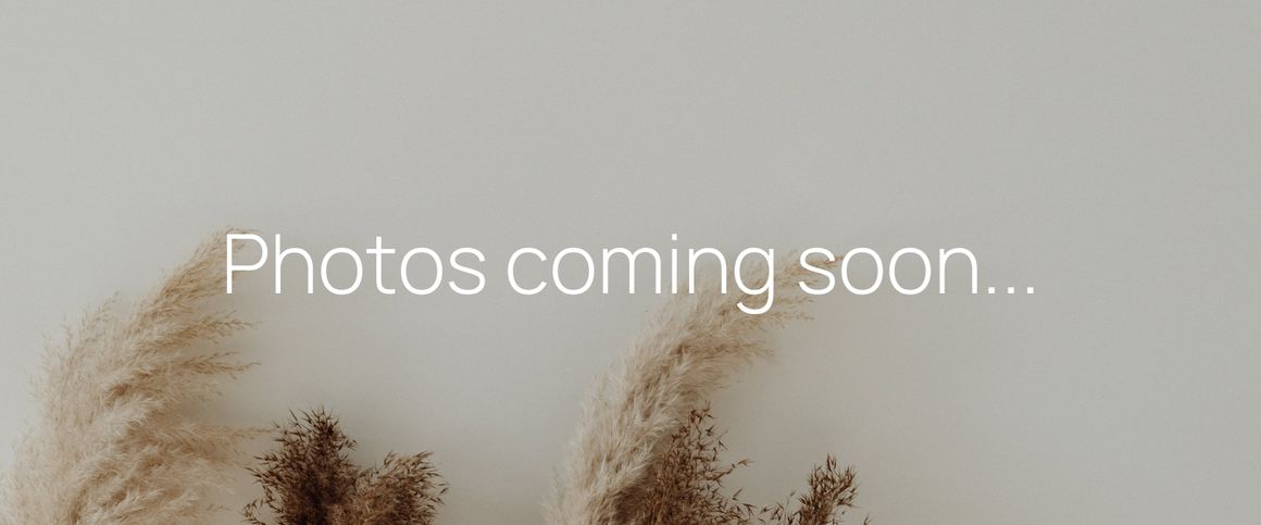 3 Callistemon Close, Port Macquarie NSW 2444 - House For Rent | Domain - Photo 1