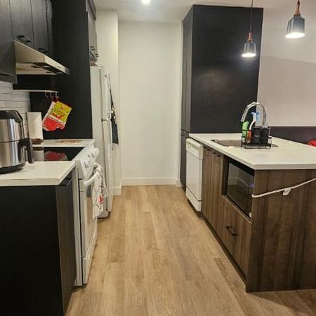 Cession de bail 1er février au 1er juillet - bail renouvelable - Photo 3