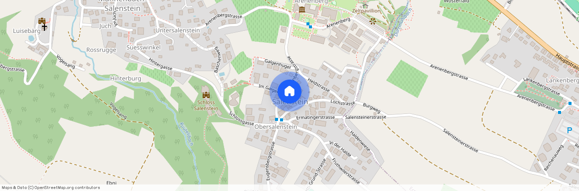 Arenenbergstrasse 8, 8268 Salenstein