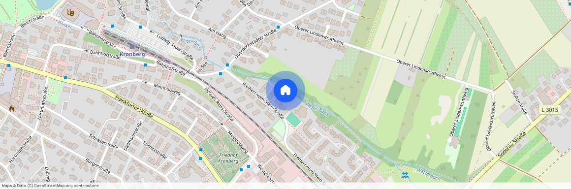 Freiherr-vom-Stein-Str. 17, 61476, Kronberg