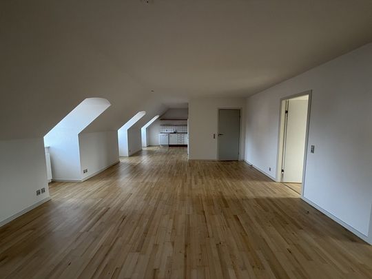 Dejlig 3-værelses lejlighed i Ringe - Photo 1