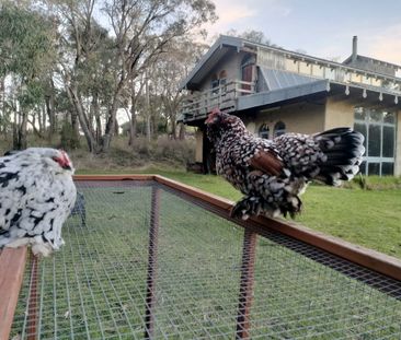 Belgrave South - Photo 6