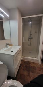 Studio meublé 29m2 - Photo 4