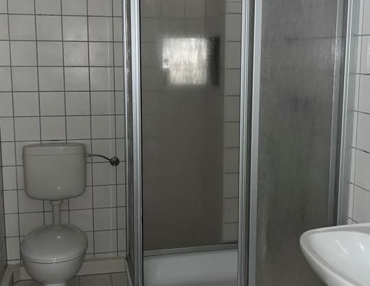 *Singlewohnung im Schloss Ammelshain* - Foto 1