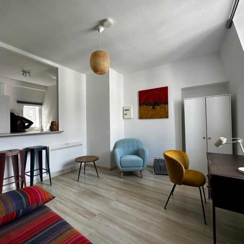 Location Appartement 1 pièce Meublé 25m² BLOIS 41000 - Photo 1