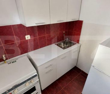 Garsoniera de inchiriat, LUX, 30 mp, zona Minera - Fotografie 4