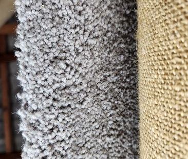 Cosy-Pet Friendly-Easy Care - 1 Bedroom Studio - Photo 1